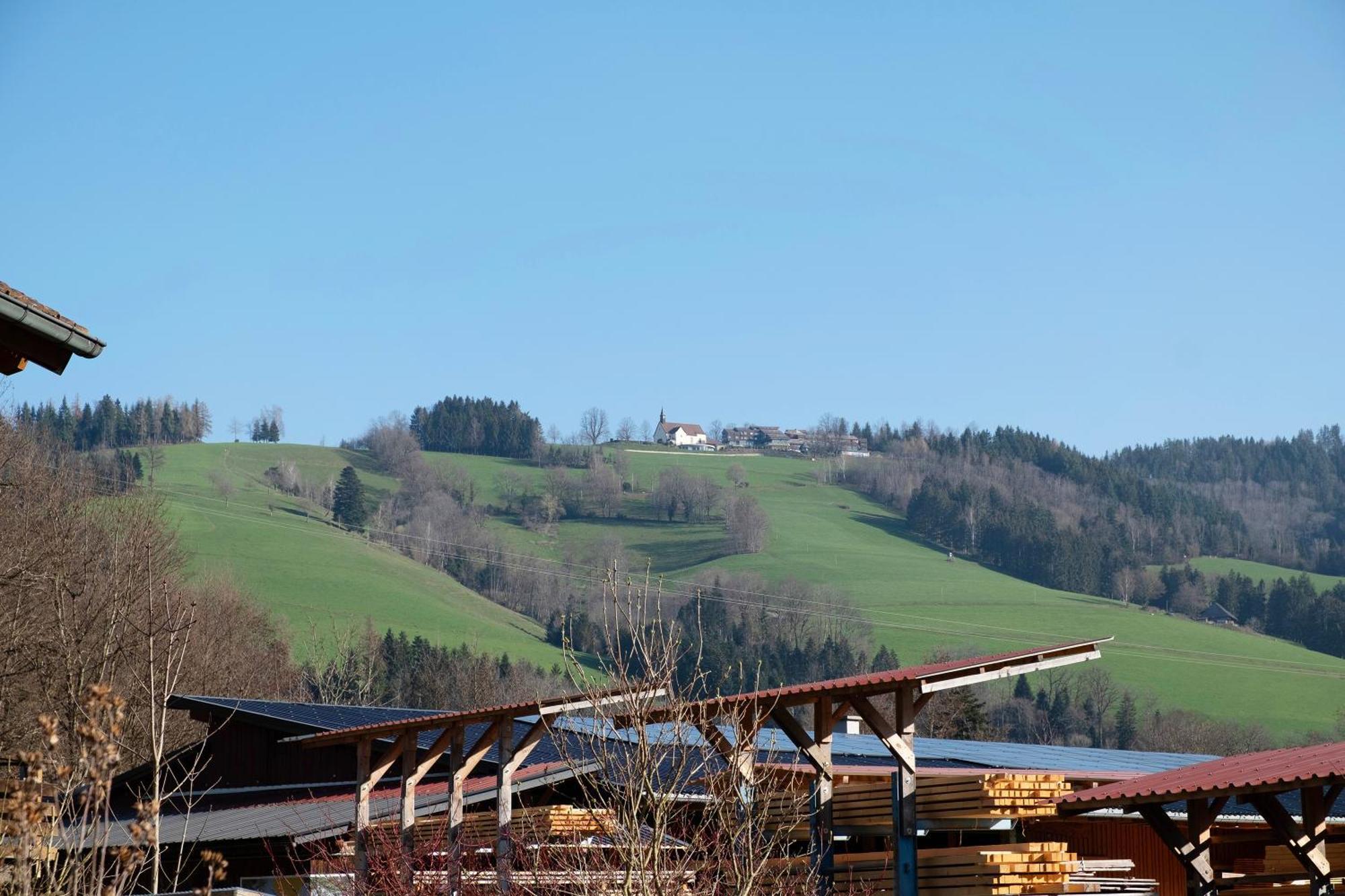 Ruhige Schwarzwald Ferienwohnung Buchenbach エクステリア 写真